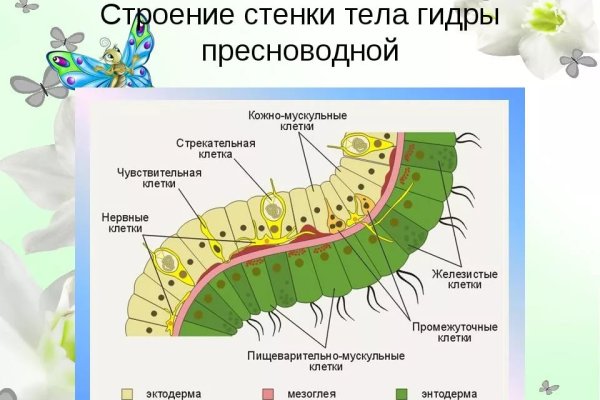 Как зайти на кракен с телефона