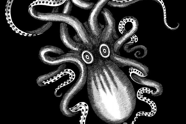 Kraken