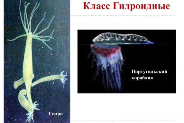 Кракен официальный сайт 2krnk cc