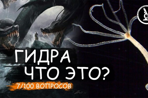 Kraken 5 at